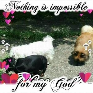 Meet your Posher, Mitzi